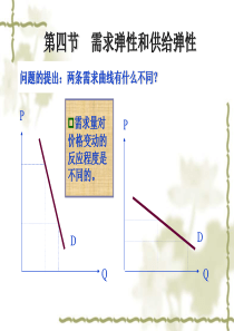 微观经济学-弹性