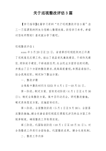 关于巡视整改评估3篇