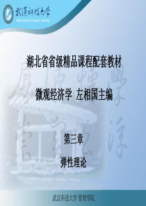 微观经济学左相国第3章弹性理论