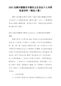 2023巡察问题整改专题民主生活会个人对照检查材料（精选5篇）