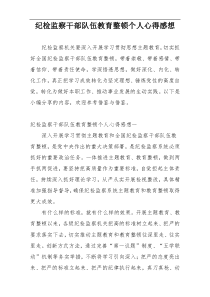 纪检监察干部队伍教育整顿个人心得感想