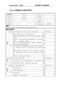 某发电企业明细帐会计职务说明书