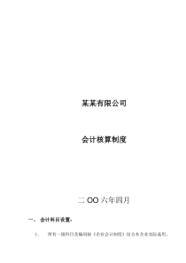 某某有限公司会计核算制度(DOC 22)