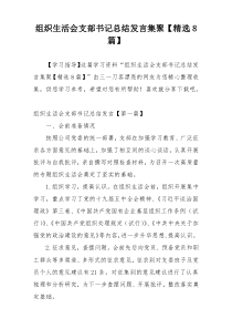 组织生活会支部书记总结发言集聚【精选8篇】