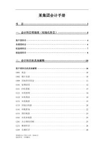 某集团会计手册