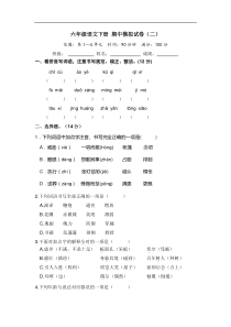 六年级语文下册 期中模拟卷（部编版 含答案）11