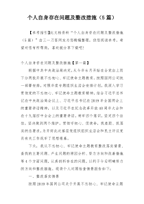 个人自身存在问题及整改措施（5篇）