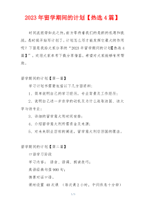 2023年留学期间的计划【热选4篇】