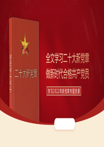 2022年新党章学习辅导解读党课ppt课件