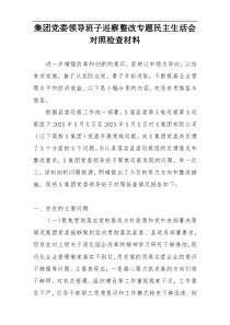 集团党委领导班子巡察整改专题民主生活会对照检查材料