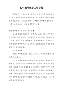 初中教师教学工作心得