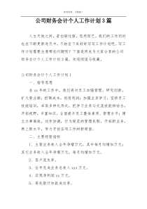 公司财务会计个人工作计划3篇