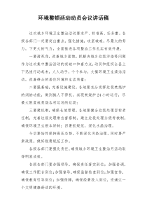 环境整顿活动动员会议讲话稿