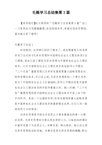 毛概学习总结集聚3篇