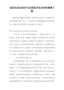 组织生活会批评与自我批评发言材料集聚5篇