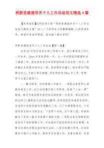 两新党建指导员个人工作总结范文精选4篇