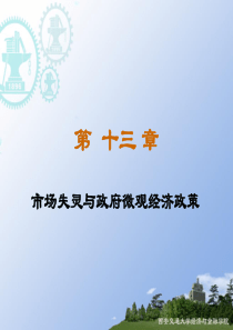 新13章市场失灵与政府微观经济政策