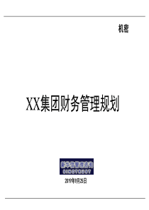 新华信-某集团财务管理规划