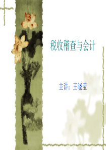 税收稽查与会计