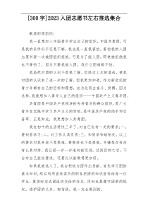 [300字]2023入团志愿书左右推选集合