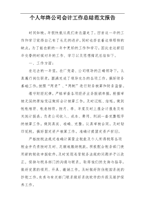 个人年终公司会计工作总结范文报告