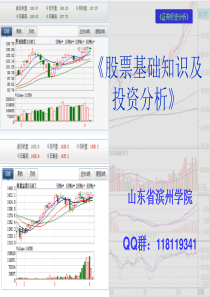 第四章股票技术分析理论