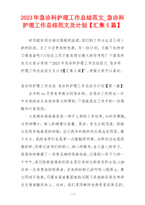 2023年急诊科护理工作总结范文_急诊科护理工作总结范文及计划【汇集5篇】