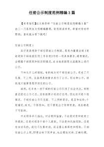 任前公示制度范例精编3篇