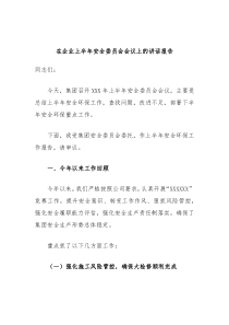 在企业上半年安全委员会会议上的讲话报告