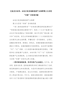 交流发言材料加快打造县域新能源产业集群聚力为实现双碳目标做贡献