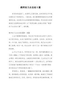 教师实习点总结5篇