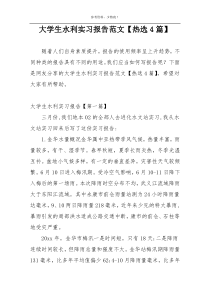 大学生水利实习报告范文【热选4篇】