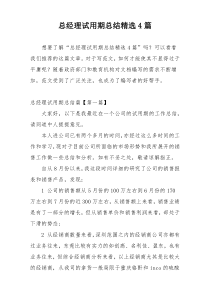 总经理试用期总结精选4篇