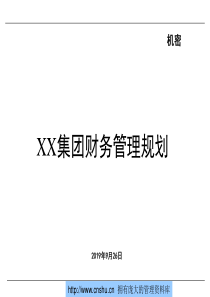 某集团财务管理规划