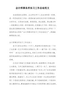 会计师事务所实习工作总结范文