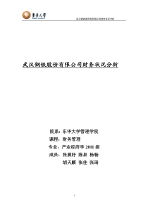 武汉钢铁财务状况