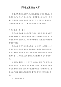 网销方案精选5篇