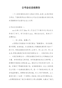 公司会议总结报告