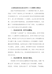 公安局治安支队支队长学习二十大精神心得体会