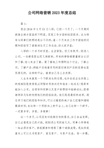 公司网络营销2023年度总结