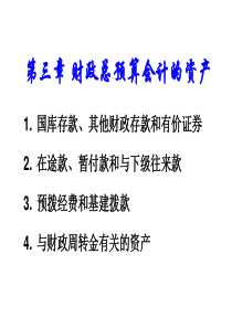 第三章财政总预算会计的资产