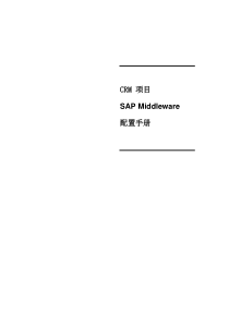 SAP Middleware 配置手册