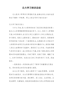 北大学习培训总结