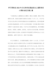 学习贯彻在2023年文化传承发展座谈会上重要讲话心得体会范文稿2篇