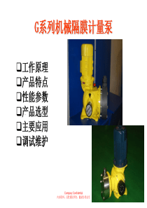 g系列机械隔膜计量泵