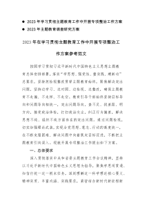 2023年学习贯彻主题教育工作中开展专项整治及调查研究工作方案范文2篇