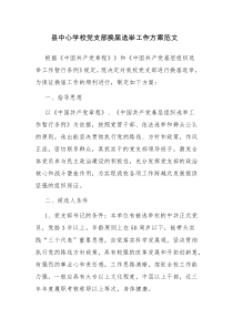 县中心学校党支部换届选举工作方案范文