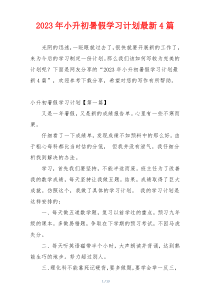 2023年小升初暑假学习计划最新4篇