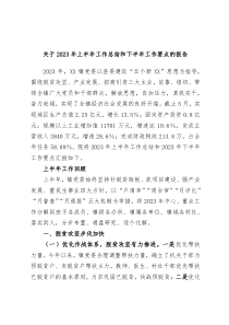 关于2023年上半年工作总结和下半年工作要点的报告