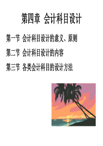 第四章会计科目设计